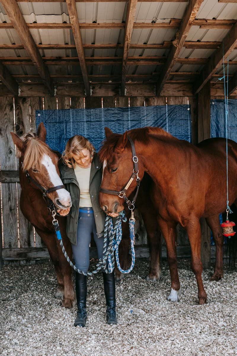 A woman bonding with two horses inside a rustic wooden barn, showcasing closeness and care.